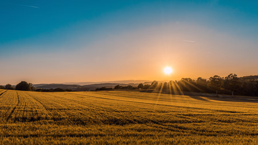 Green farmland