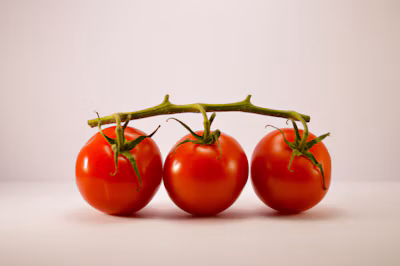 Fresh red tomatoes